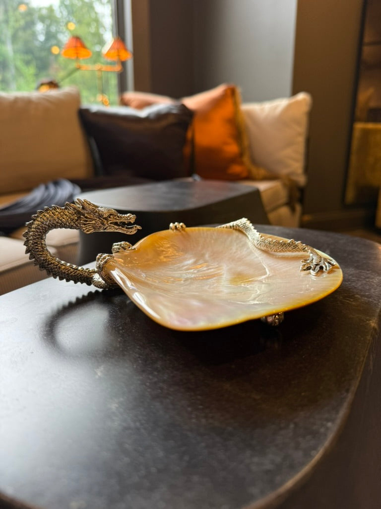 Drago Shell – Circa Interiors & Antiques