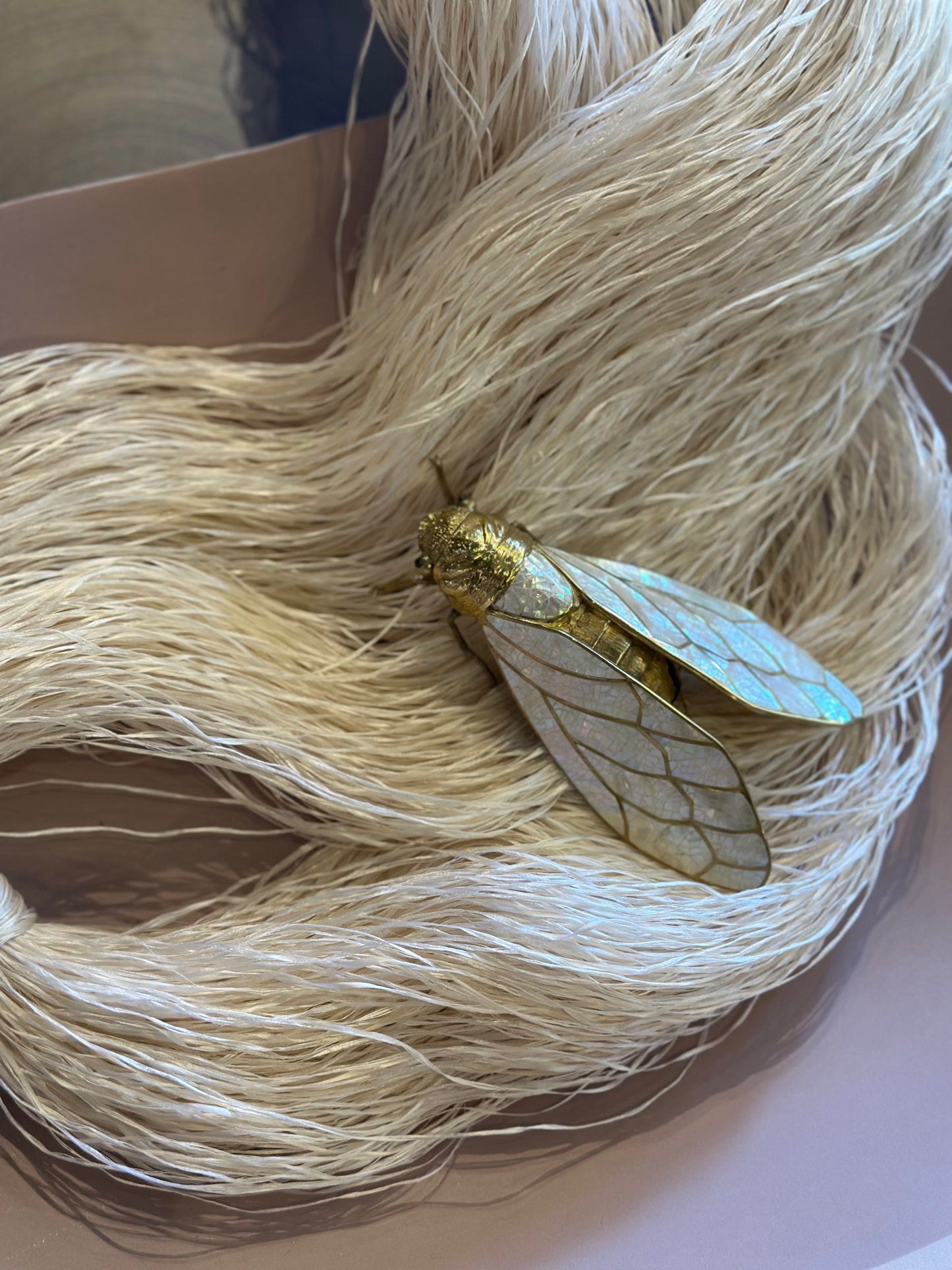 Cicada Bug Box