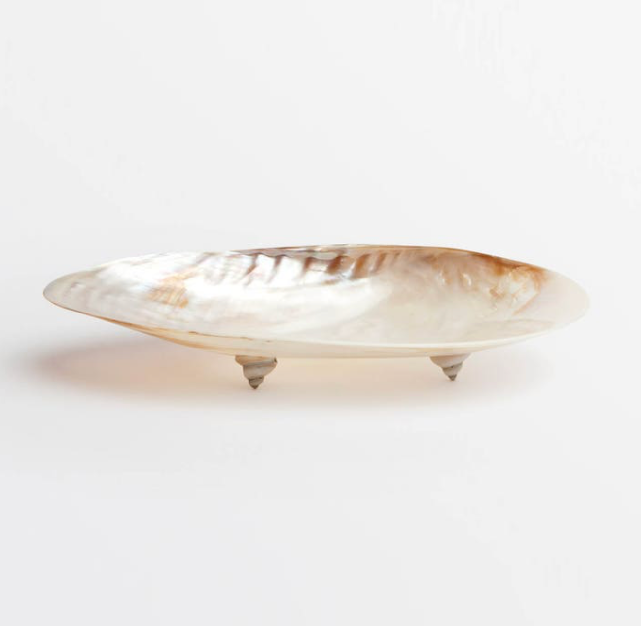 Shell Dish