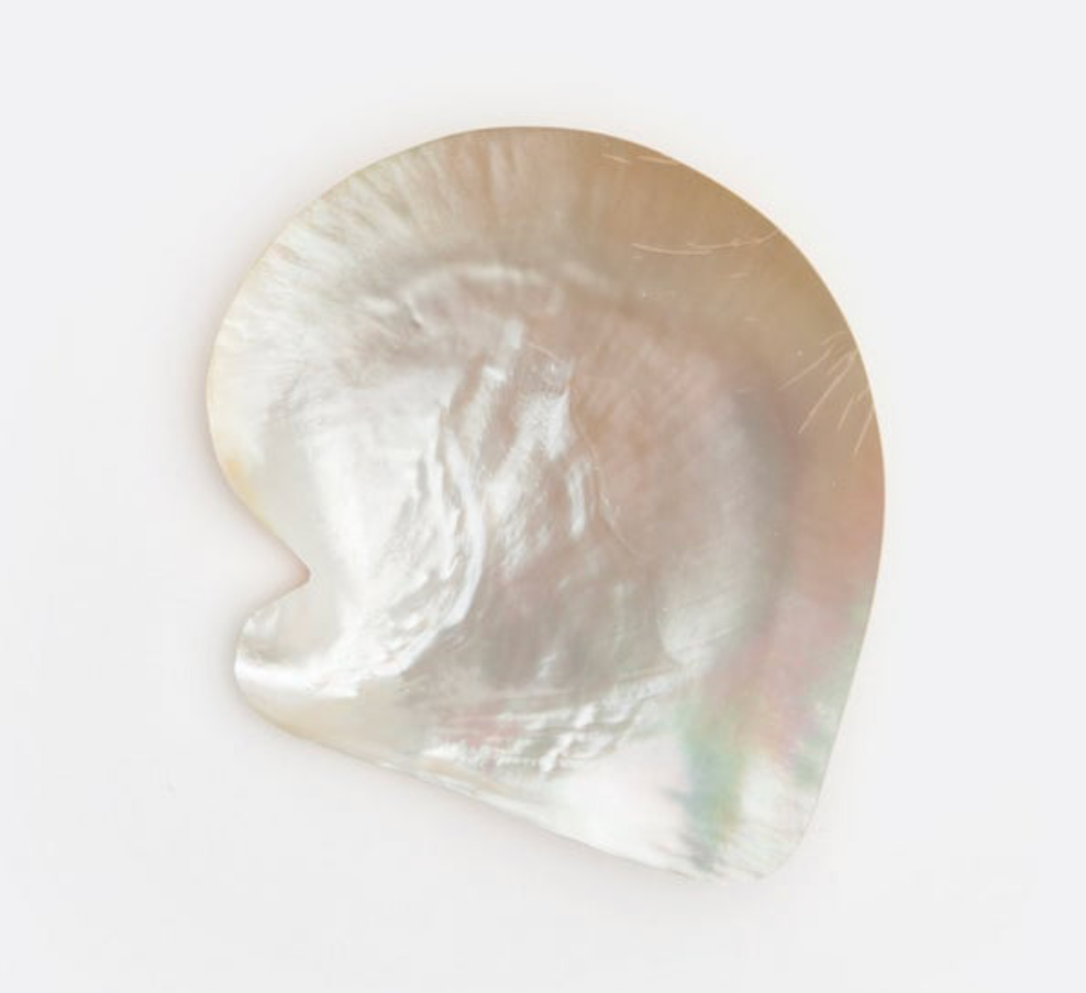 Shell Dish - Small