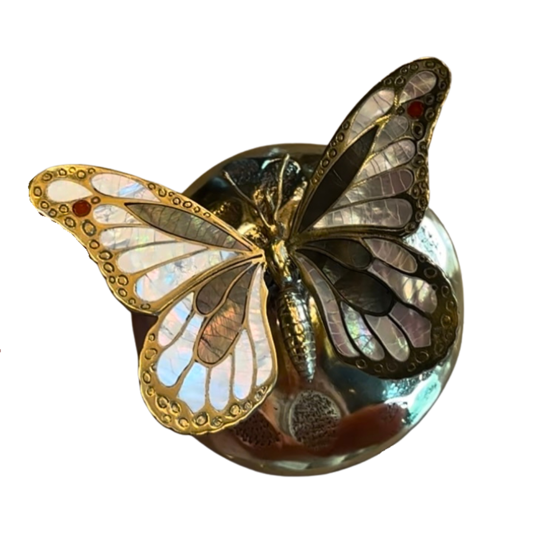 Butterfly Box