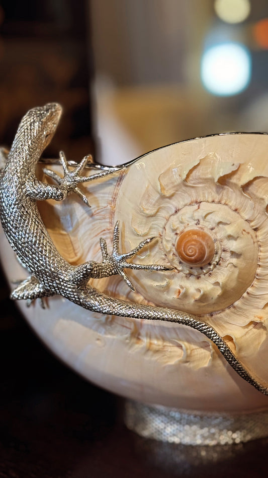 Sea Shell with Lizards
