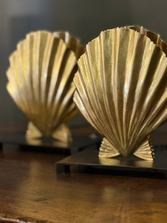 Brass Shell Lamp