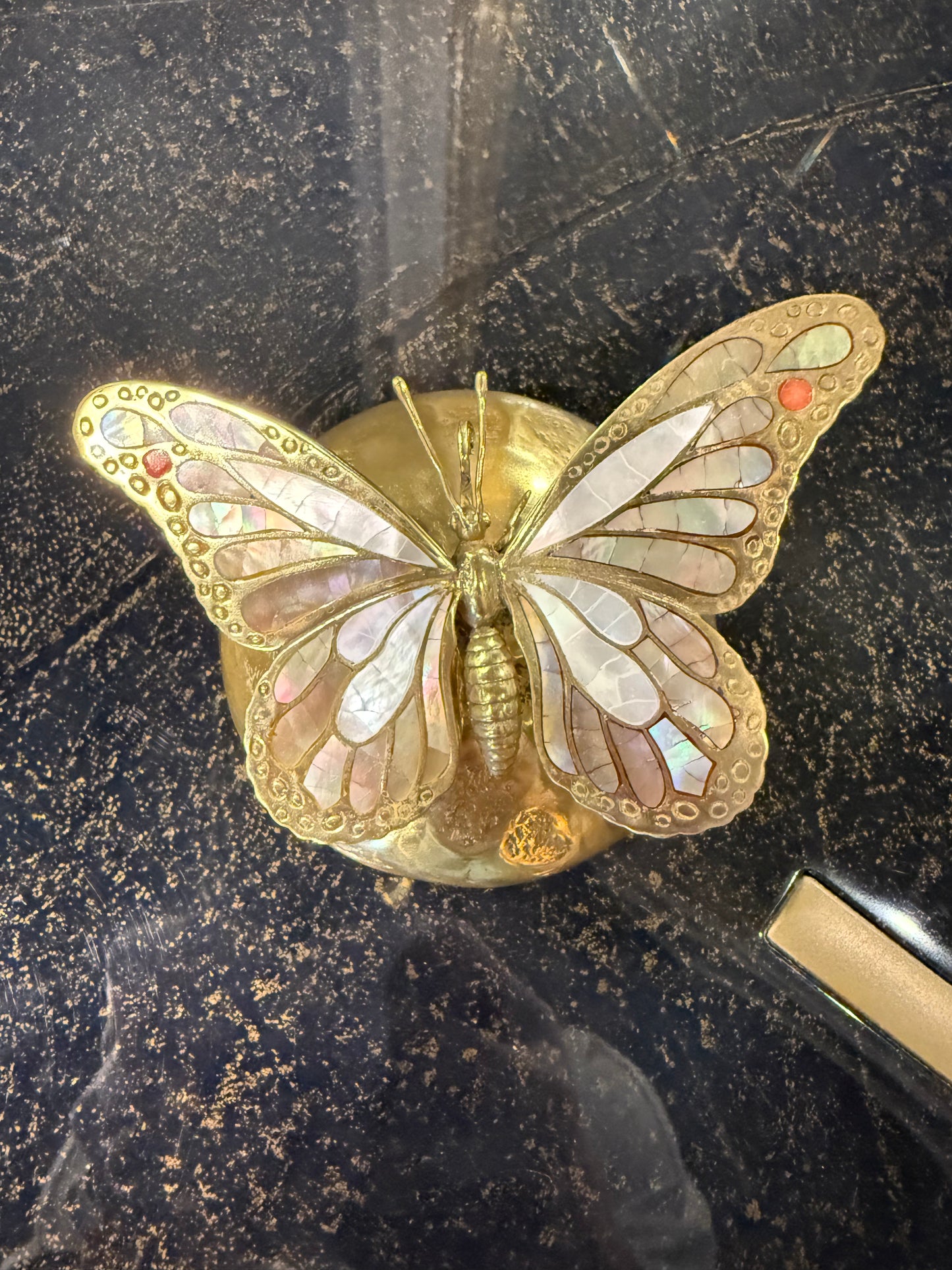 Butterfly Box