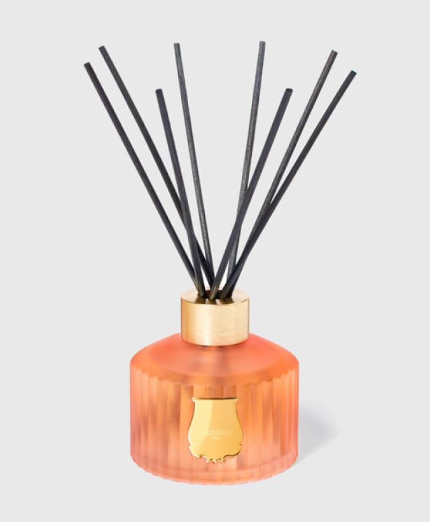Cire Trudon Diffuser